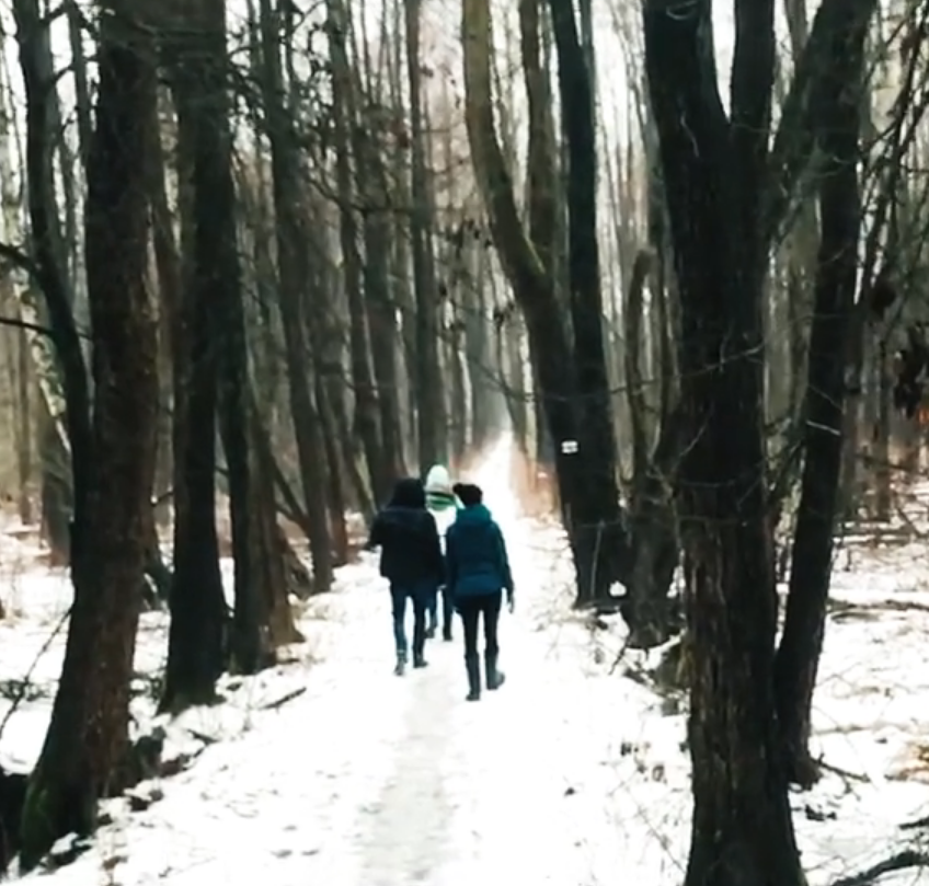 Video: Winter walk.